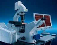 Zeiss Confocal